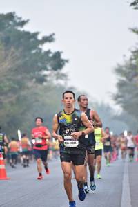 BIB: 41884
                            <button type="button" onclick="openModal(10129688)" class="btn btn-primary btn-sm float-right btn-popup" data-toggle="modal" data-target=".modal-high-quality">
                        <i class="fas fa-shopping-cart"></i> Add to Cart
                    </button>
                                            <button type="button" onclick="isThisMe(10129688, true)" class="btn btn-success btn-sm float-right btn-popup btn-isme hidden" data-toggle="tooltip" data-placement="bottom" title="นี่คือรูปของคุณใช่ไหม คลิกที่นี่เพื่อเอาเข้าอัลบั้ม">
                        <i class="fas fa-plus"></i> Add to album
                    </button>
                    <button type="button" onclick="isThisMe(10129688, false)" class="btn btn-warning btn-sm float-right btn-popup btn-isnotme hidden">
                        <i class="fas fa-ban"></i> Remove from album
                    </button>